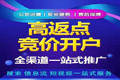竞价广告赚钱秘籍：百度实战案例